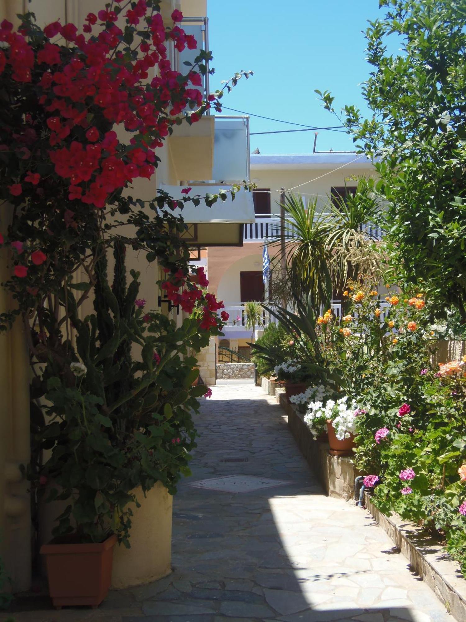 Agia Marina Angelica Studios And Apartments מראה חיצוני תמונה