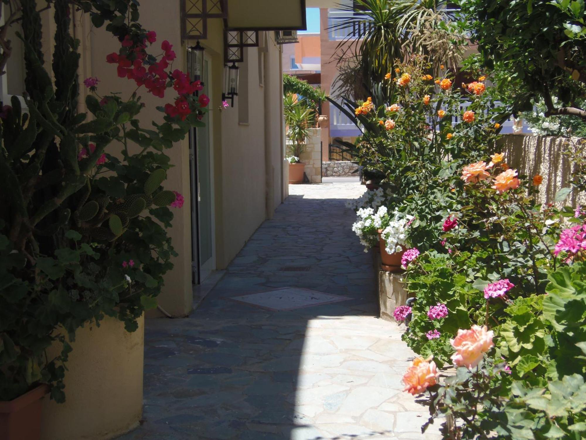 Agia Marina Angelica Studios And Apartments מראה חיצוני תמונה